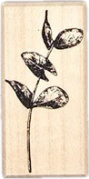 Houten stempel - Eucalyptus Journal This
