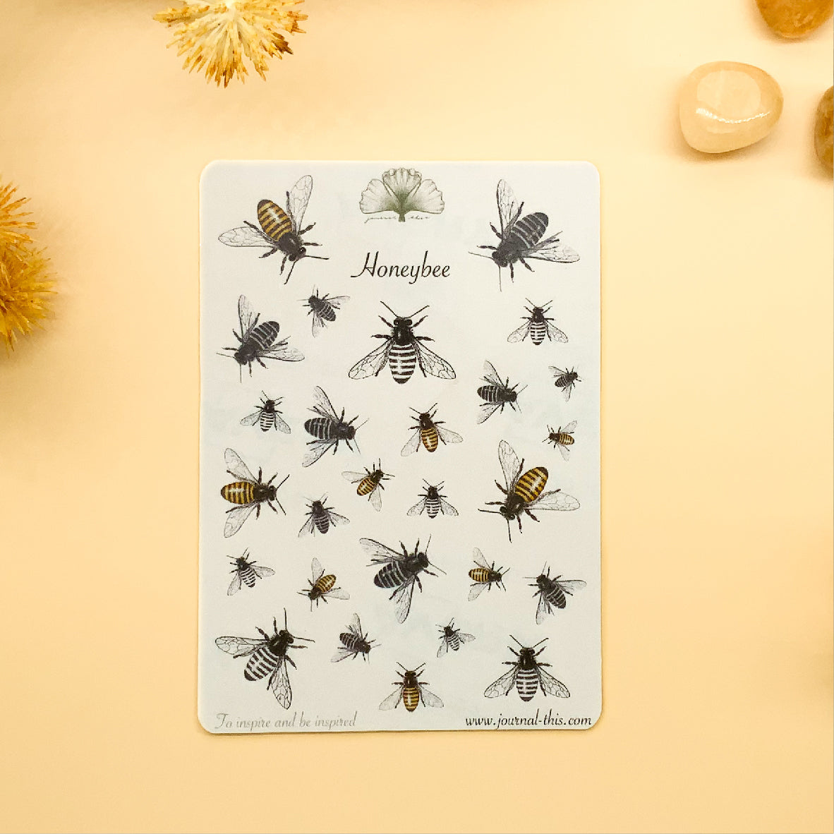 Clear Vinyl Honey Bee Sticker Set of 2 —mini cards Bridgette Jones Nature  Prints-Bridgette Jones Nature Prints