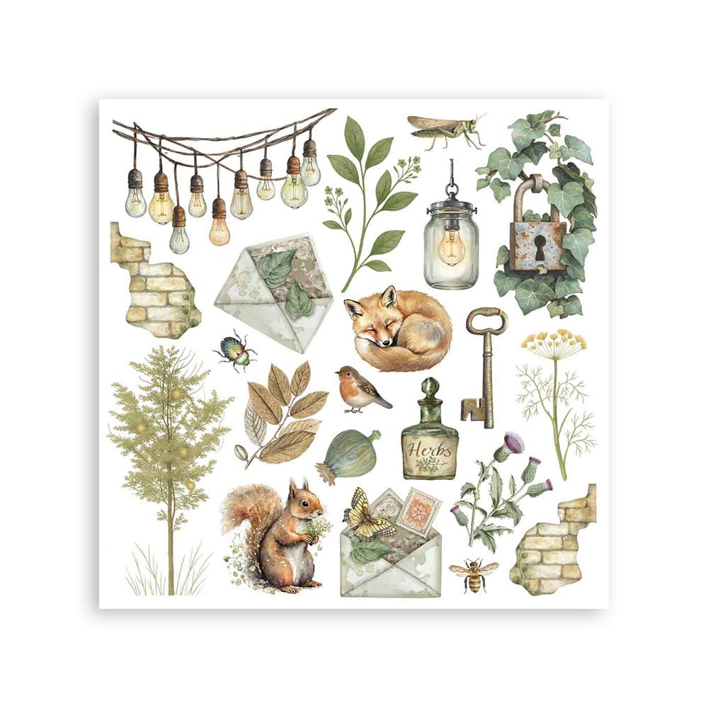Stamperia Rub-on - Herbarium Silvae Assortment Kit (DFLRBX02) Stamperia