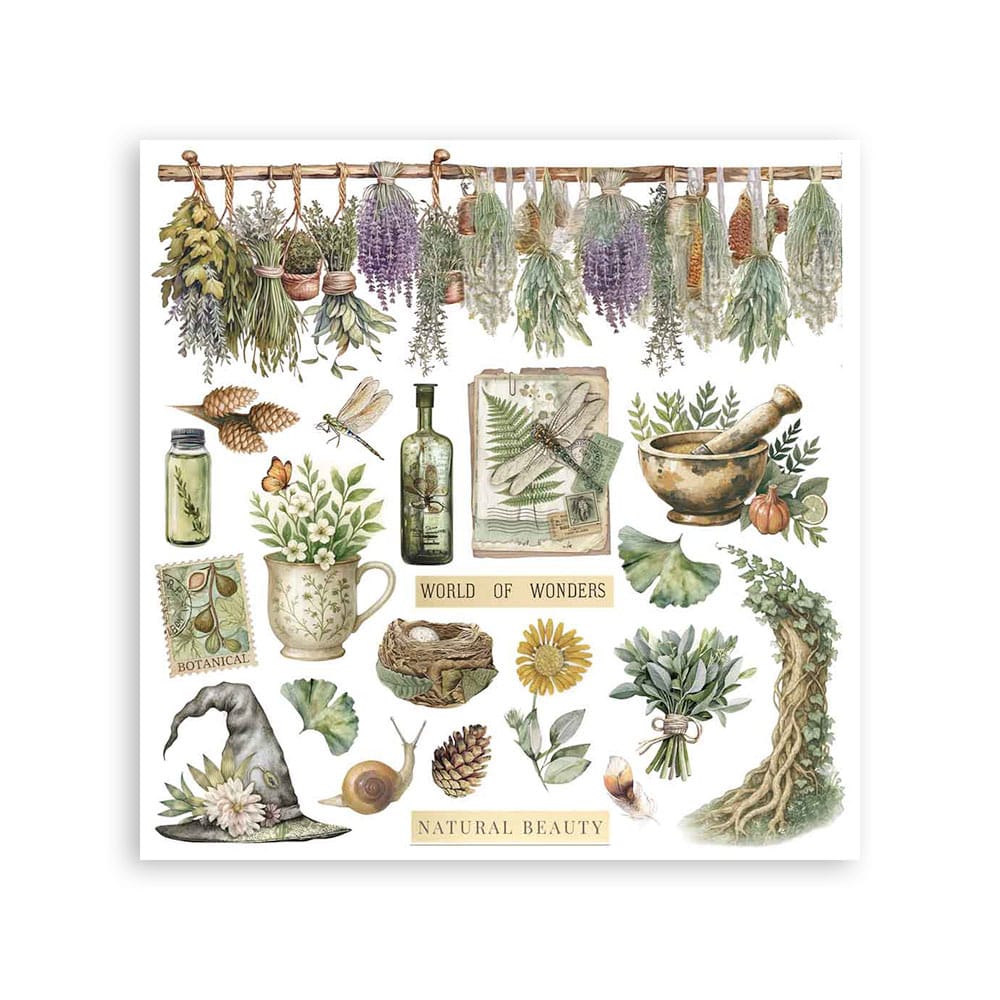 Stamperia Rub-on - Herbarium Silvae Assortment Kit (DFLRBX02) Stamperia