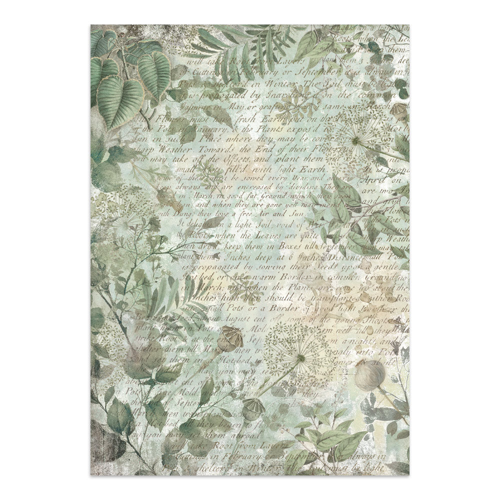 Stamperia Ephemera - Herbarium Silvae Junk Journal Book (SBJK09) Stamperia