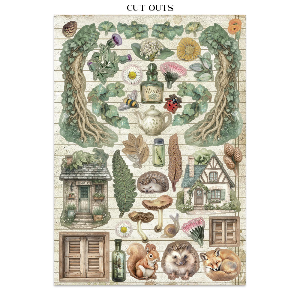 Stamperia Ephemera - Herbarium Silvae Junk Journal Book (SBJK09) Stamperia