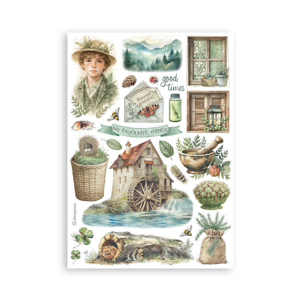 Stamperia Ephemera - Herbarium Silvae A5 Washi Pad (SBW27) Stamperia