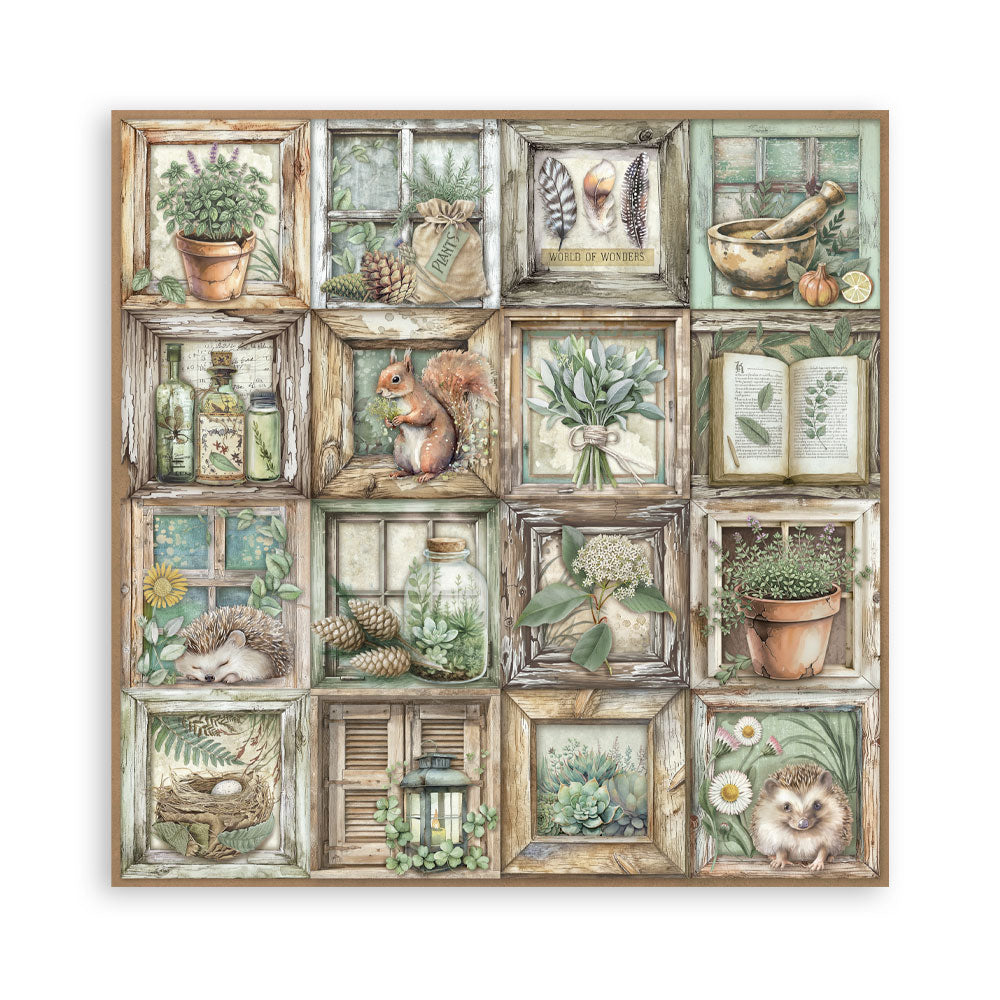 Stamperia papierblok - Herbarium Silvae Single Face (SBBSXB20) Stamperia