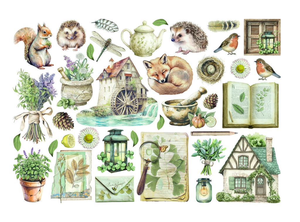 Stamperia Ephemera - Herbarium Silvae (DFLCT71) Stamperia