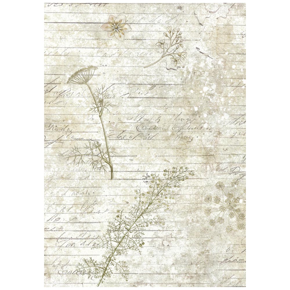 Stamperia Rice Paper -  Herbarium Silvae A6 Backgrounds (DFSAK6048) Stamperia