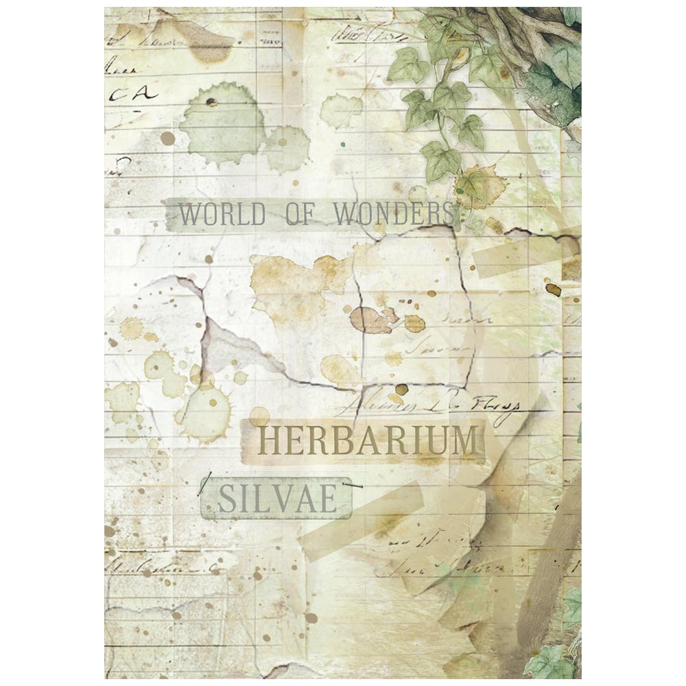Stamperia Rice Paper -  Herbarium Silvae A6 Backgrounds (DFSAK6048) Stamperia