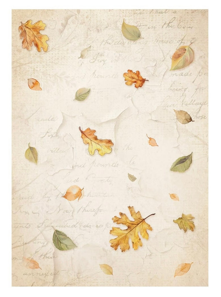 Rijstpapier decoupage Rub on sprookje stamperia herfst paddenstoelen blaadjes dennenappels Boom Takken Kabouter Fee 4