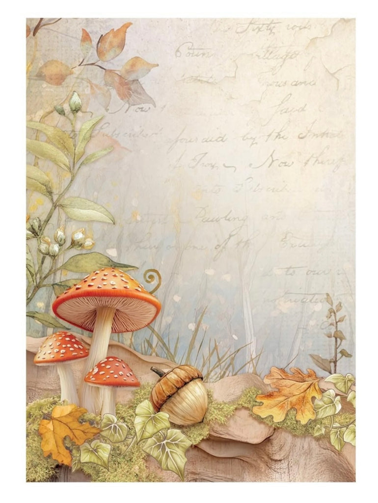 Rijstpapier decoupage Rub on sprookje stamperia herfst paddenstoelen blaadjes dennenappels Boom Takken Kabouter Fee 8