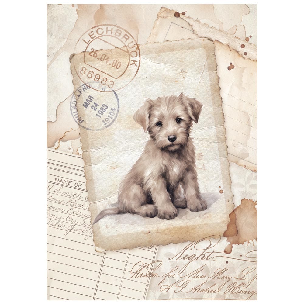 Stamperia Rice Paper -  Quiet Days A6 Mini (DFSA6X01) Stamperia