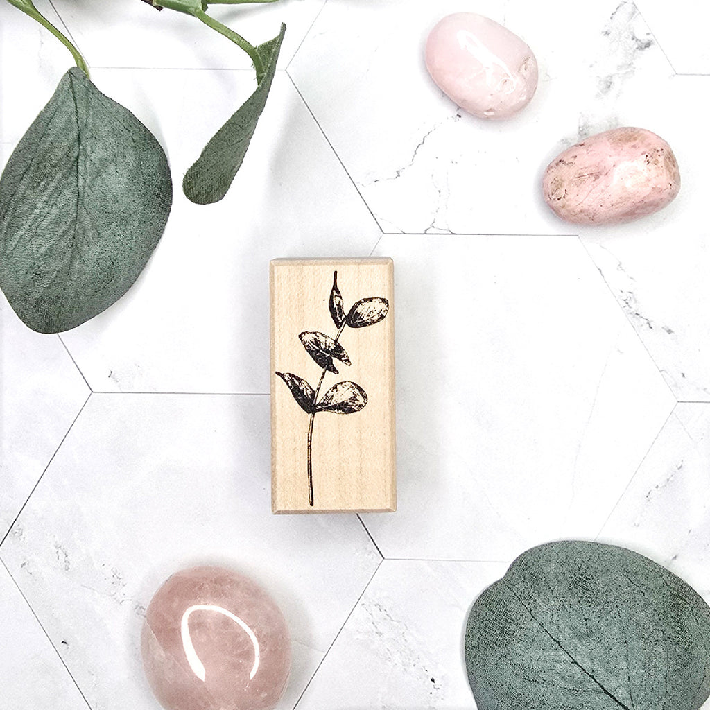 Takje stempel eucalyptus bladeren 