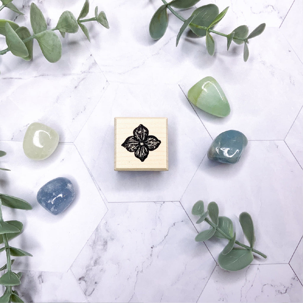 Houten stempel hortensia bloemen setJe