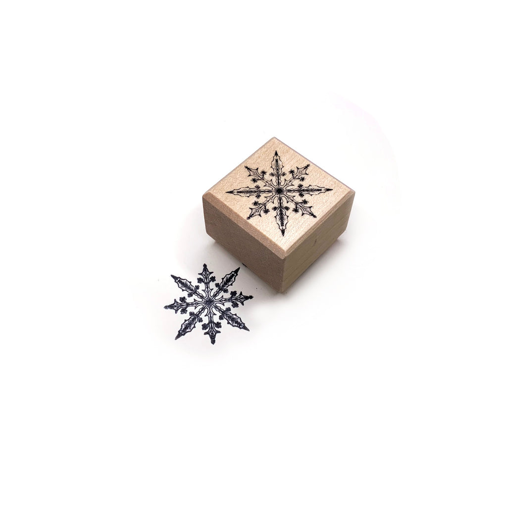 Houten stempel ijsster sneeuw ster
